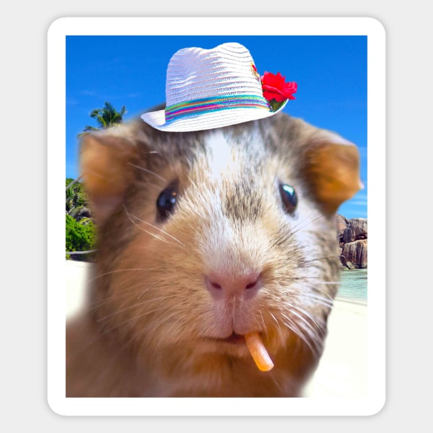 Guinea Pig Face Sticker by Random Galaxy